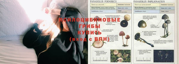 марки nbome Богданович